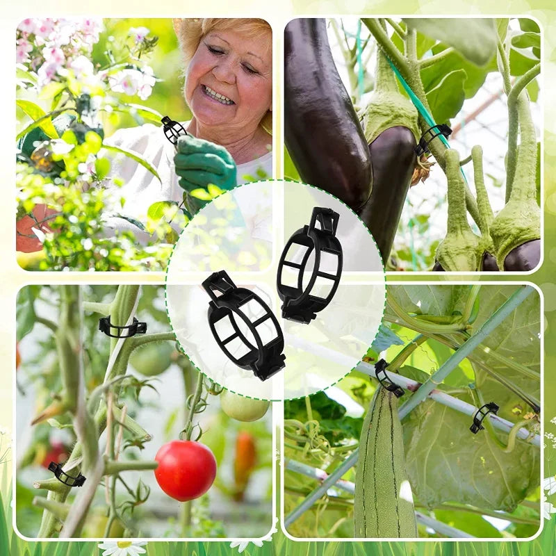 100/1Pcs Plant Support Clips Supports Connects Reusable Grafting Fixing Buckle for Support Grape Vines Tomato Gardening Supplies