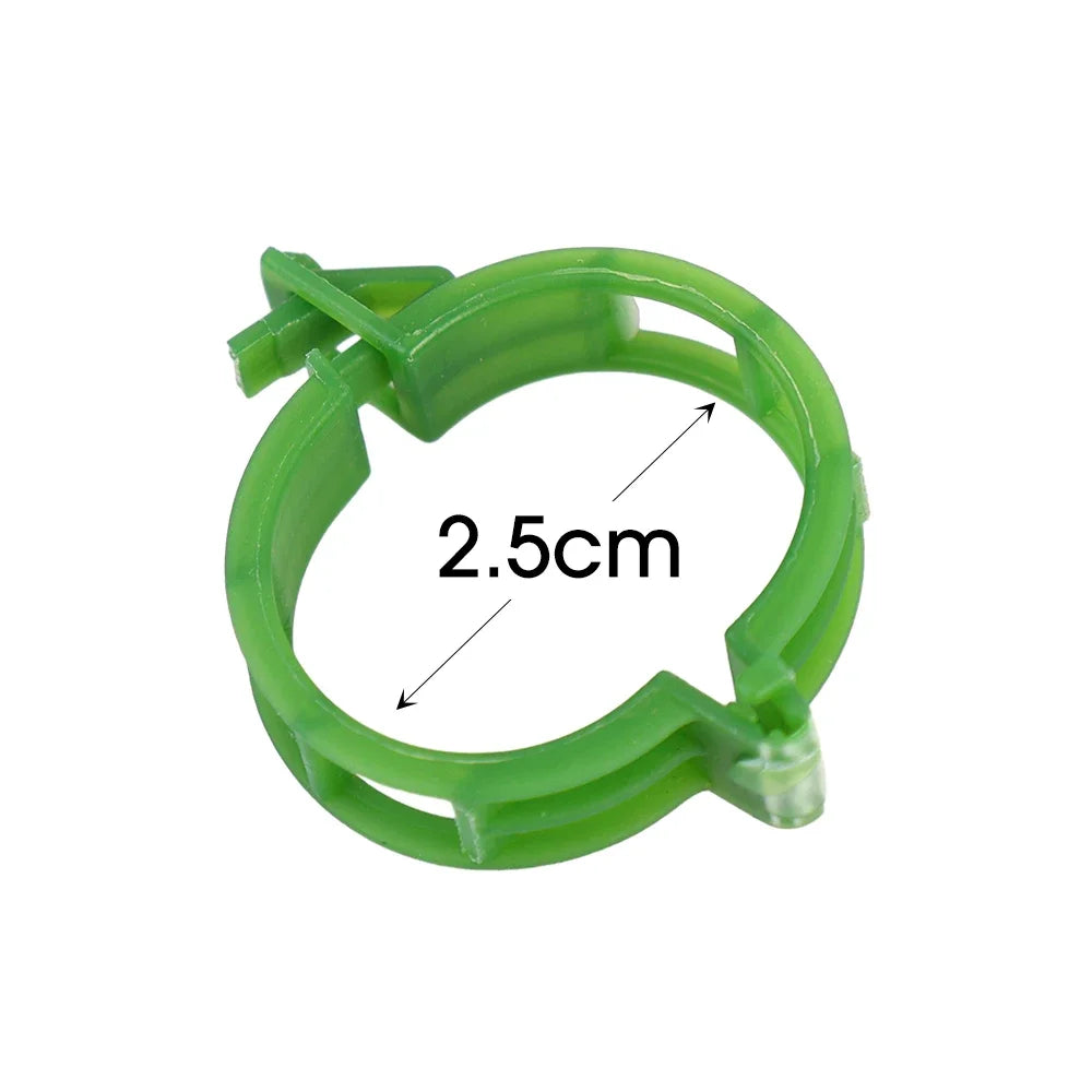100/1Pcs Plant Support Clips Supports Connects Reusable Grafting Fixing Buckle for Support Grape Vines Tomato Gardening Supplies