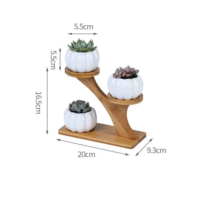 Plant Shelves Flower Display Stand Creative Succulent Plant Owl Pumpkin Bamboo Frame Ceramic Flowerpot Plant Tray