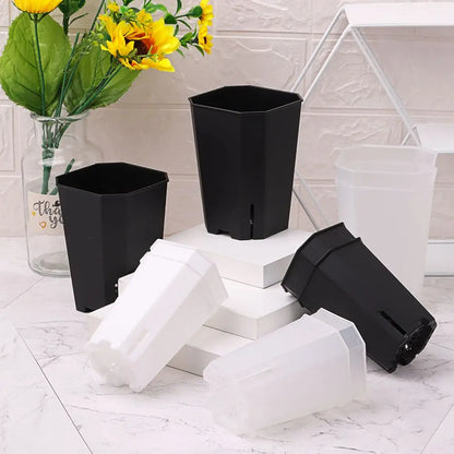 Plastics Side Hole Flower Pot Octagonal Square Pots Wholesale Succulent Flower Pots Resin Succulents Vientiane Pots Transparent
