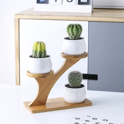 Plant Shelves Flower Display Stand Creative Succulent Plant Owl Pumpkin Bamboo Frame Ceramic Flowerpot Plant Tray