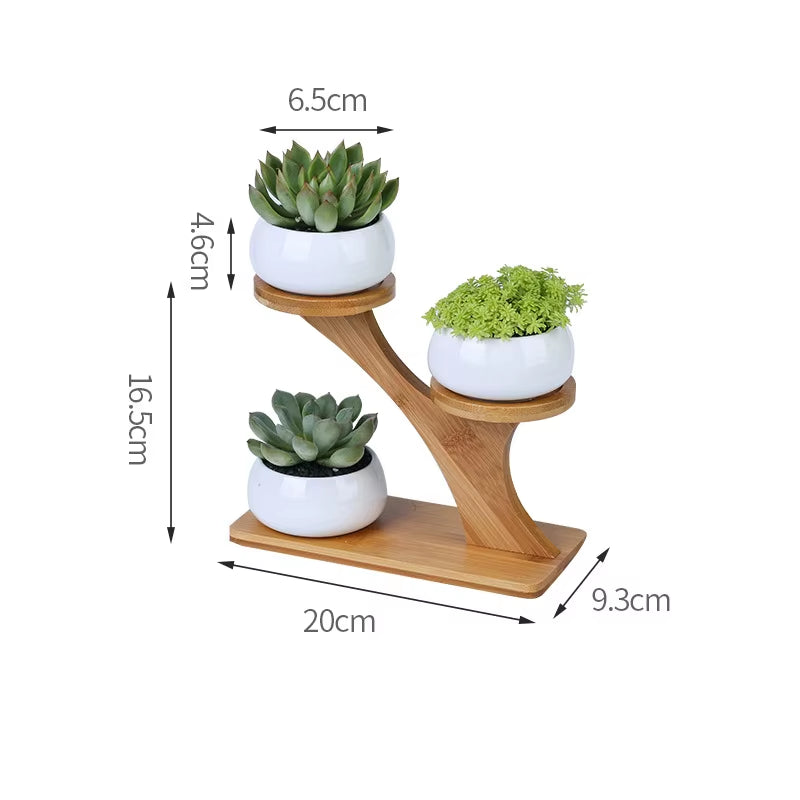 Plant Shelves Flower Display Stand Creative Succulent Plant Owl Pumpkin Bamboo Frame Ceramic Flowerpot Plant Tray