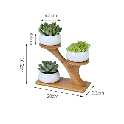 Plant Shelves Flower Display Stand Creative Succulent Plant Owl Pumpkin Bamboo Frame Ceramic Flowerpot Plant Tray