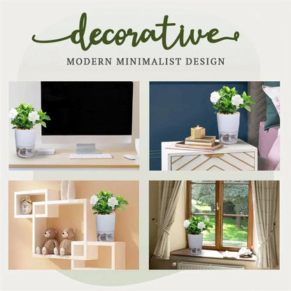 Self Watering Plant Pots Lazy Hydroponic Water Absorbing Flower Pot Succulent Plant Flowerpot Garden Modern Decorative Pot