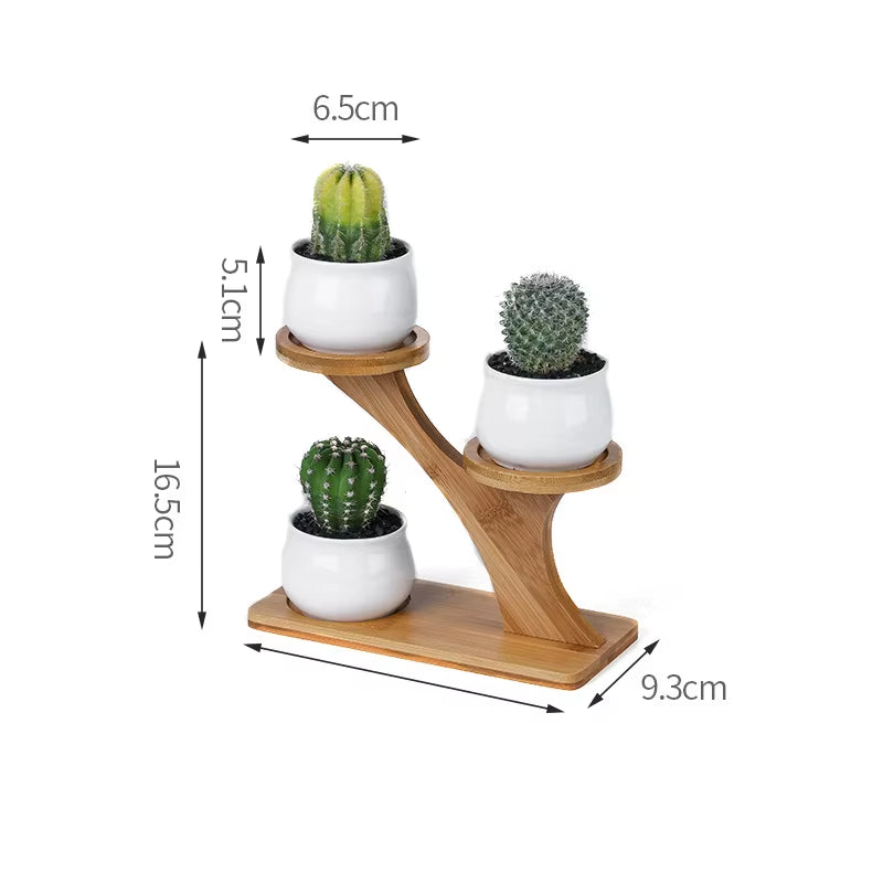 Plant Shelves Flower Display Stand Creative Succulent Plant Owl Pumpkin Bamboo Frame Ceramic Flowerpot Plant Tray