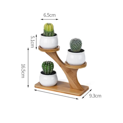 Plant Shelves Flower Display Stand Creative Succulent Plant Owl Pumpkin Bamboo Frame Ceramic Flowerpot Plant Tray