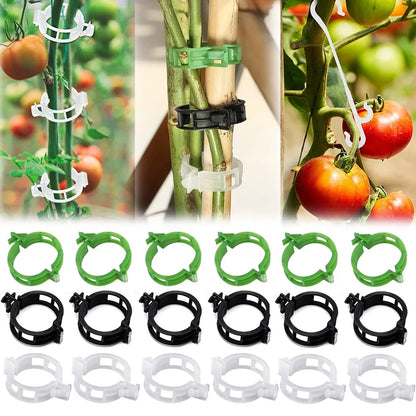 100/1Pcs Plant Support Clips Supports Connects Reusable Grafting Fixing Buckle for Support Grape Vines Tomato Gardening Supplies