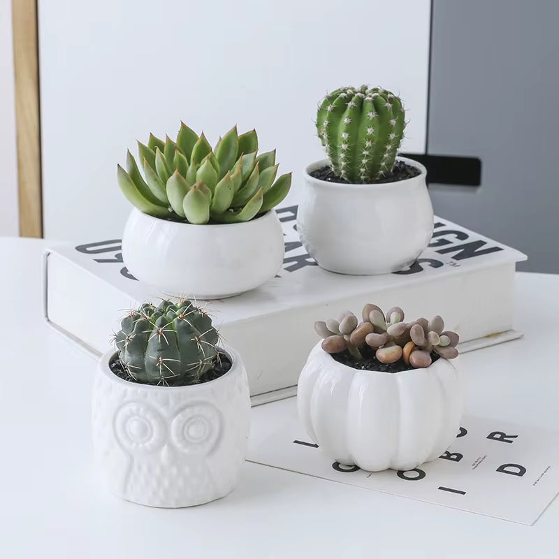 Plant Shelves Flower Display Stand Creative Succulent Plant Owl Pumpkin Bamboo Frame Ceramic Flowerpot Plant Tray